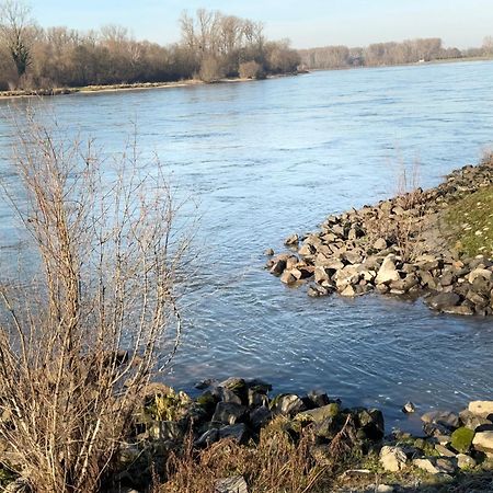 Ferienhaus Hoffmann Am Rheinbogen Altlussheim Eksteriør billede